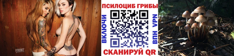 сколько стоит  Зеленоградск  Псилоцибиновые грибы ЛСД 